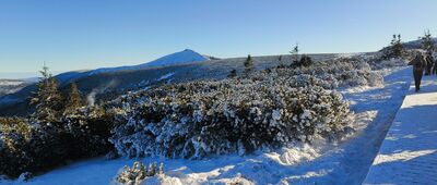 Ruiny schroniska im. Księcia Henryka ↔ Torfowiska subalpejskie