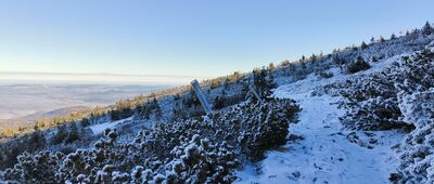 Pod Małym Szyszakiem ↔ Słonecznik