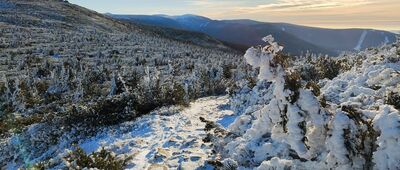 Przełęcz pod Śmielcem ↔ Czarna Przełęcz