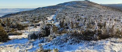 Przełęcz pod Śmielcem ↔ Czarna Przełęcz