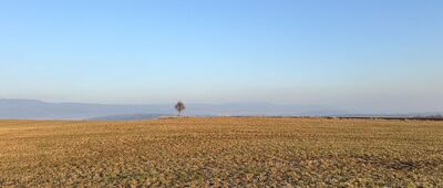 Ruprechtice ↔ Broumov, Pionýrská