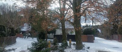 Kochłowice, ul. Grzybowa