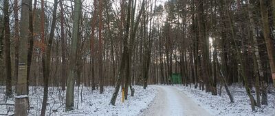 Kochłowice, ul. Grzybowa ↔ Kochłowice, staw Karp 2