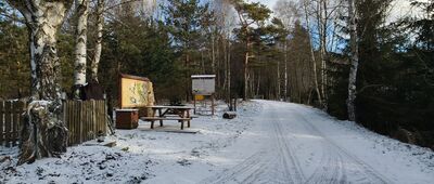 Rozwidlenie pod Golcem ↔ Studzienno