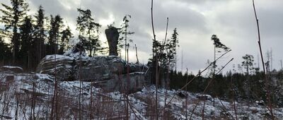 Skalne Grzyby, Rogacz