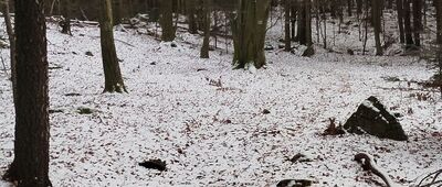 Góra Dobrzeszowska ↔ Jóźwików