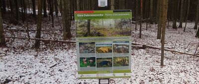 Dobrzeszów ↔ Góra Dobrzeszowska [Tabliczka poniżej szczytu]