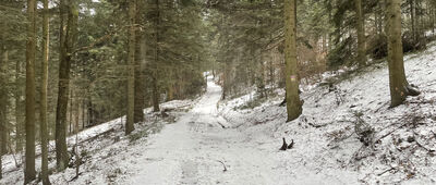 Szczyrzyc, przystanek ↔ Pod Cietniem