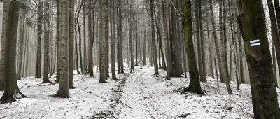 Księża Góra ↔ Ciecień Wschodni