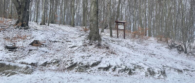 Skrzyżowanie pod Grodziskiem
