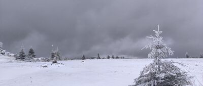 Szklarska Droga ↔ Rozdroże pod Izerskimi Garbami
