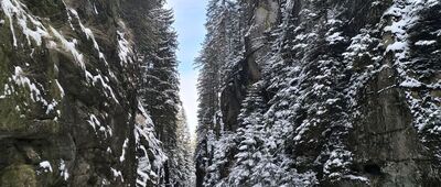 Schronisko Kamieńczyk [Wodospad Kamieńczyka]