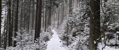Szklarska Poręba, ul. Bolesława Prusa ↔ Szklarska Poręba, ul. Juliusza Naumowicza