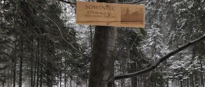 Sowiniec [Sowiniec]