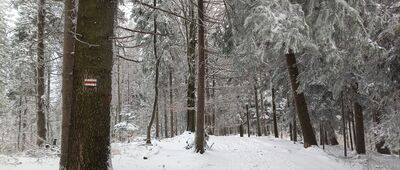 Pod Łazkiem ↔ Skrzyżowanie pod Czuplem