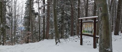 Skrzyżowanie pod Czuplem