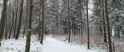 Skrzyżowanie pod Czuplem