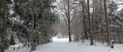 Skrzyżowanie pod Czuplem