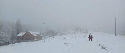 Wielka Cisowa ↔ Ranczo Błatnia