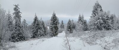 Pod Błatnią ↔ Schronisko PTTK Na Błatniej