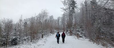 Przełęcz pod Przykrą