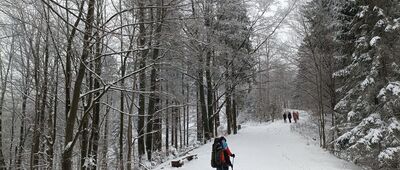 Przełęcz pod Przykrą