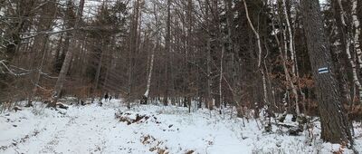 Jezioro w dolinie Wapienicy ↔ Przełęcz pod Przykrą