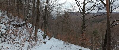 Jezioro w dolinie Wapienicy