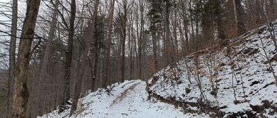 Jezioro w dolinie Wapienicy