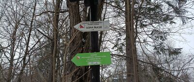 Rozejście ścieżki dydaktycznej