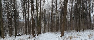 Odejście na punkt widokowy