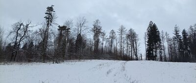 Zbocze góry Bucze ↔ Odejście na punkt widokowy
