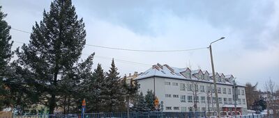 Górki Wielkie, szkoła