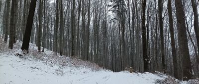 Pod Zebrzydką ↔ Pod Zebrzydką