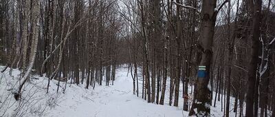 Pod Zebrzydką ↔ Pod Łazkiem