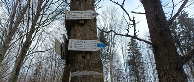 Przełęcz Woliborska