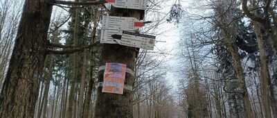 Przełęcz Woliborska