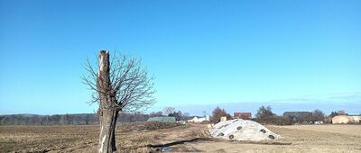 Starczów ↔ Niedźwiednik