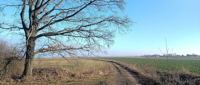 Niedźwiednik ↔ Las Górny