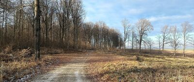 Rozejście pod Leśniakiem ↔ Las Górny