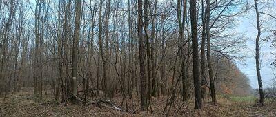 Rozejście pod Leśniakiem