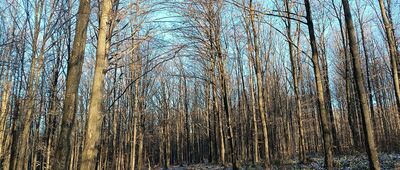 Pod Suchaniem ↔ Pod Suchaniem