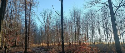 Suchań ↔ Pod Suchaniem