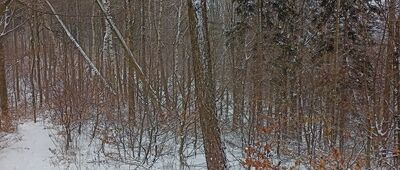 Pod Małym Wołowcem ↔ Przełęcz Szypka