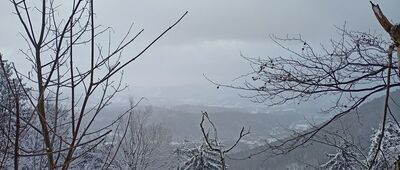 Przełęcz Kozia, rozejście szlaków ↔ Wołowiec