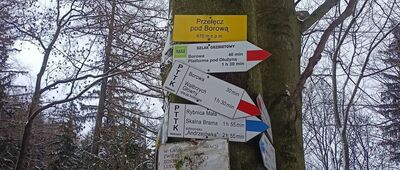 Przełęcz pod Borową