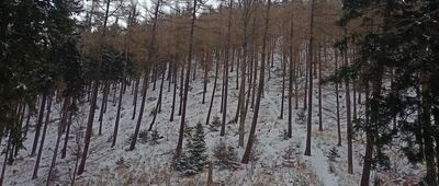 Przełęcz pod Borową