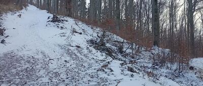 Przełęcz pod Wawrzyniakiem