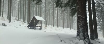 Schronisko PTTK Na Śnieżniku ↔ Międzygórze Górne