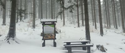 Schronisko PTTK Na Śnieżniku ↔ Międzygórze Górne